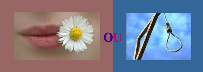 Gilets jaunes - violence ou non violence ? (2)