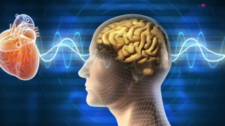 Les pouvoirs de l'être humain