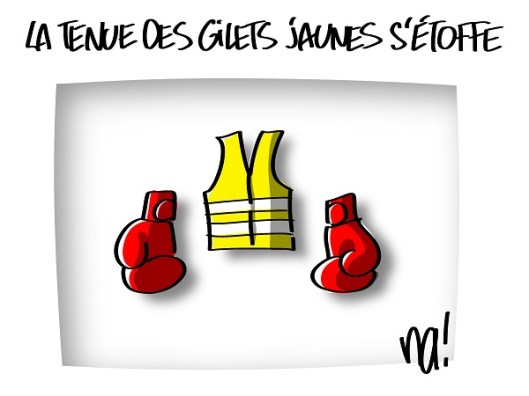 gilet jaune et gants de boxe (na!)