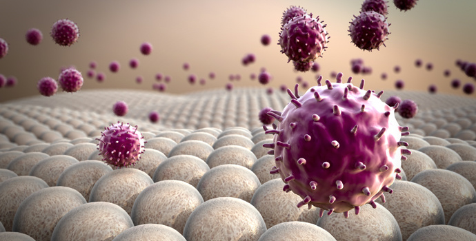 Immunité au coronavirus